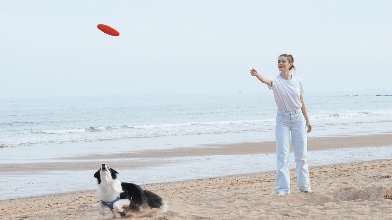 a woman is playing flying disc with her dog