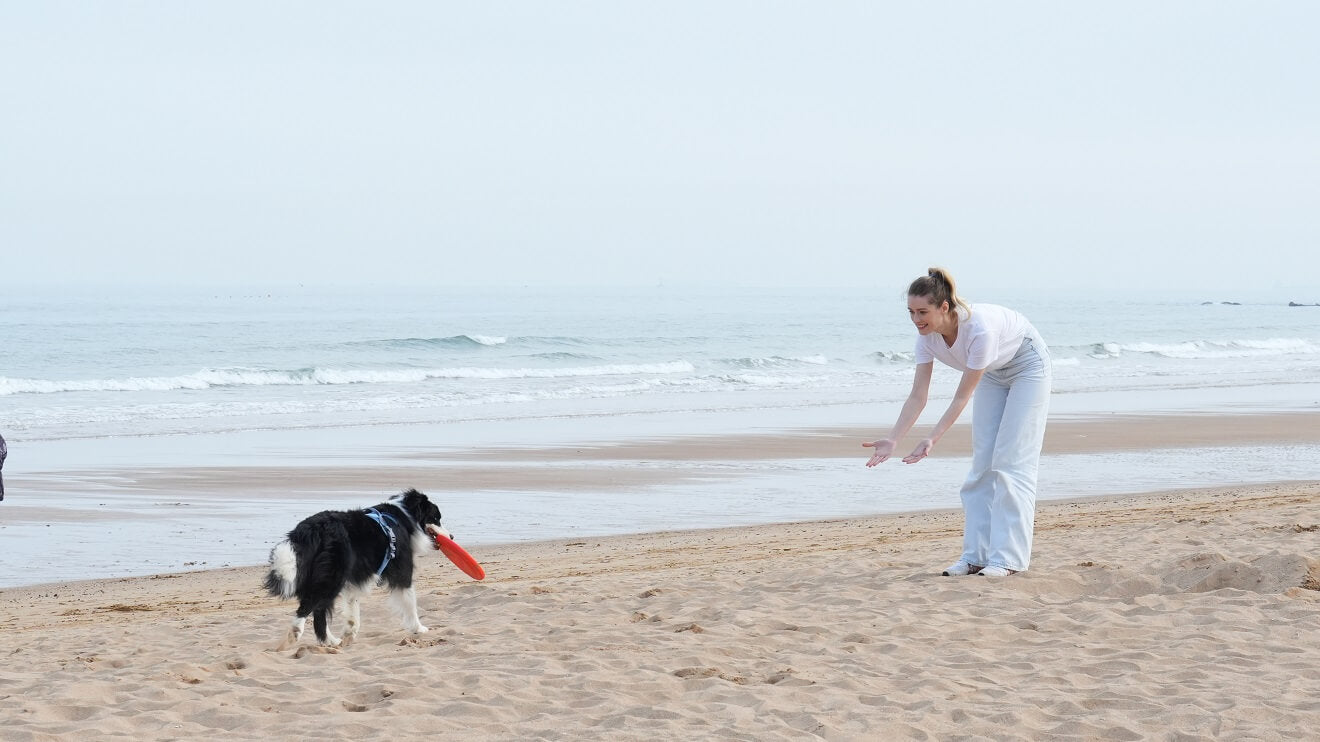 a woman is playing flying disc with her dog
