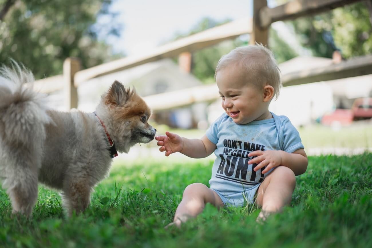 A baby boy is playing with a dog