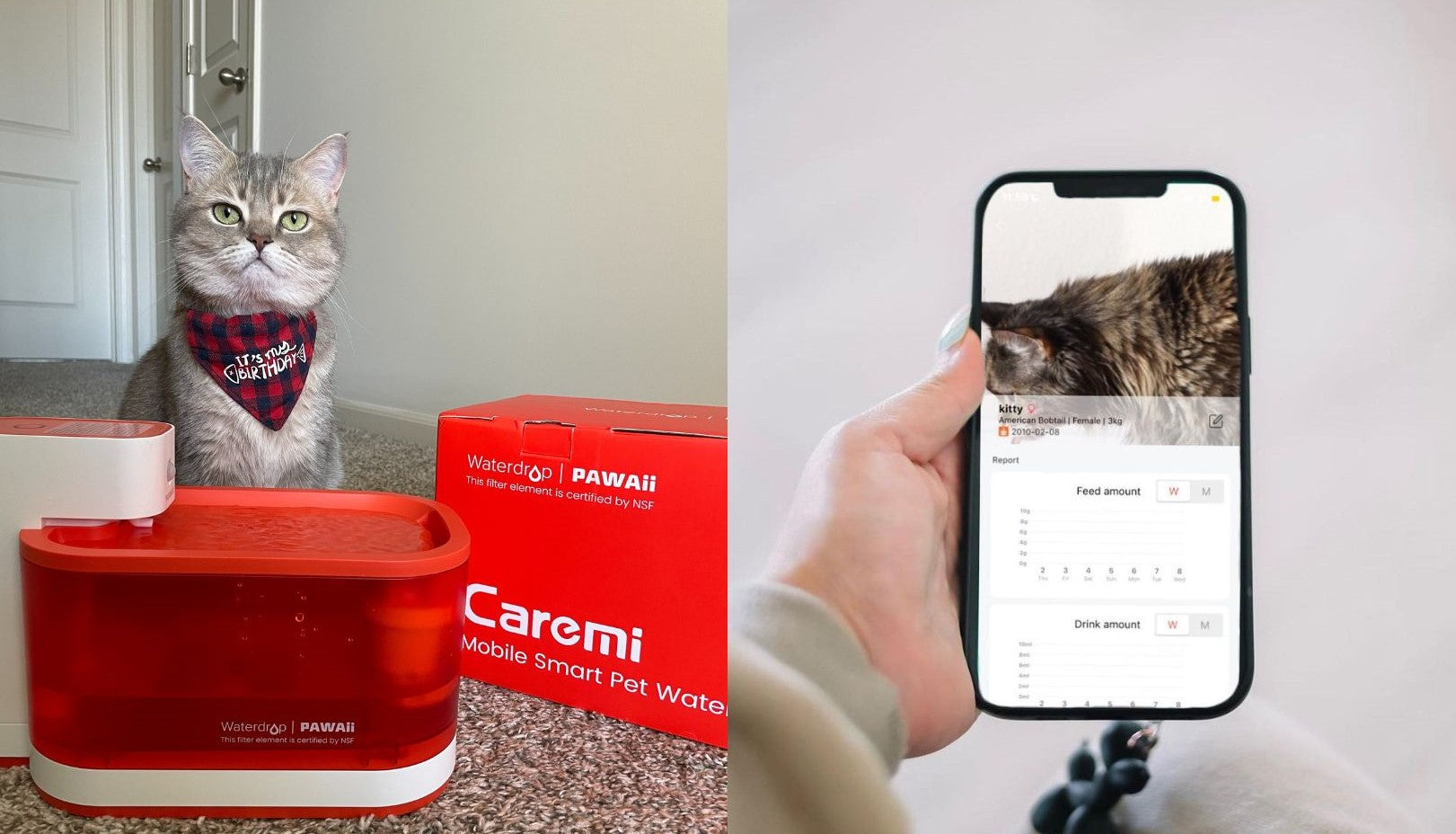 check your cat’s water consumption on phone