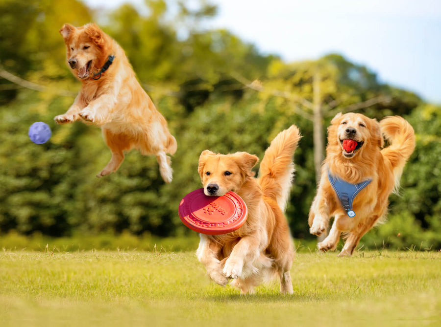 pw-index-scenes-img1