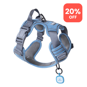 SafeWalk Dog Harness