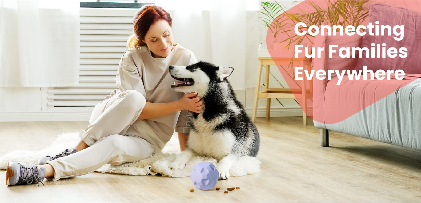 Interactive Treat Dispensing Dog Ball