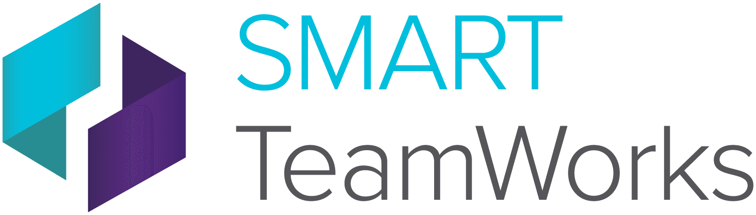 Smart TeamWorks Server with 200 accounts 1 year subscription - TW-SVR-200-1
