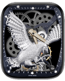 Apple Watch Face