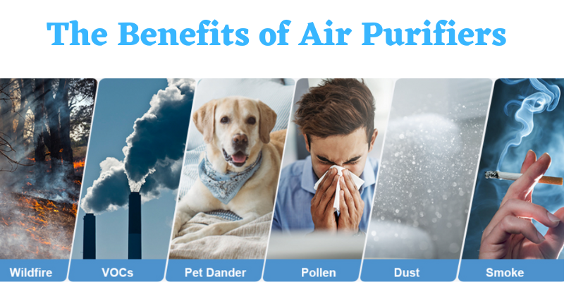 The Benefits of Air Purifiers