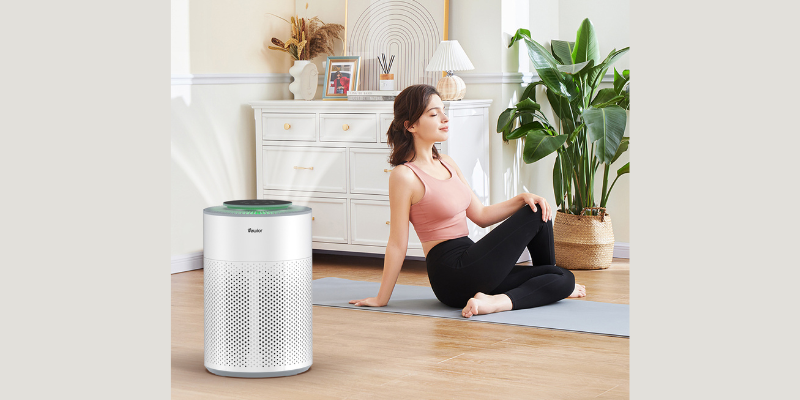 What Are Air Purifiers and How Do They Work