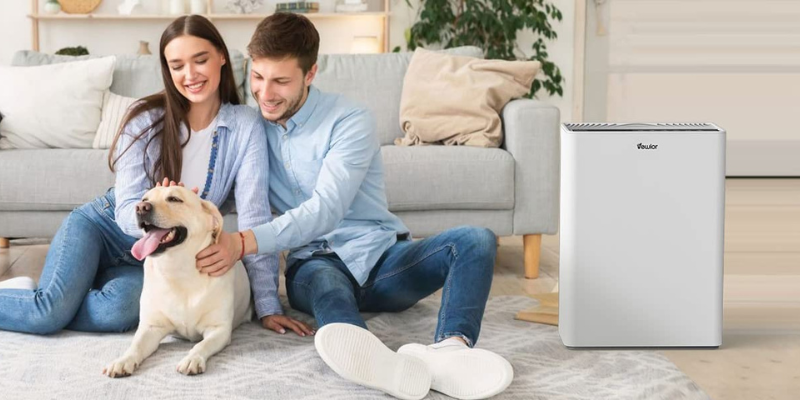 When Should You Use an Air Purifier vs a HEPA Air Purifier