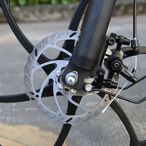 Electric Cruiser Bike - Lesoos ArcSky Electric Cruiser Bike - Lesoos ArcSky