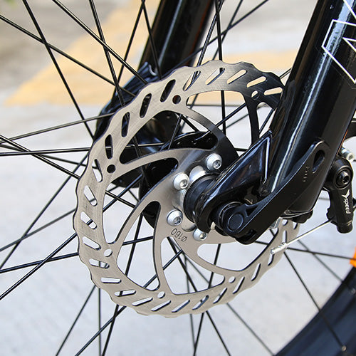 26 Inch Mountain EBike - LESOOS HiSky 26 Inch Mountain EBike - LESOOS FatSky Pro