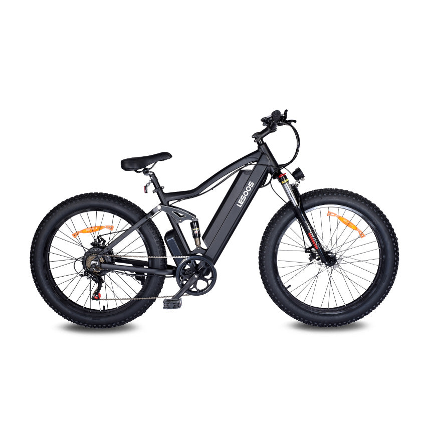 26 Inch Mountain EBike - LESOOS HiSky 26 Inch Mountain EBike - LESOOS FatSky Pro