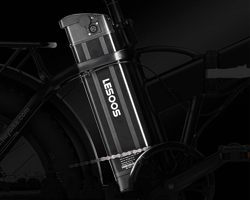 Lesoos FatSky Folding Fat Tire Electric Bike - Lesoos FatSky