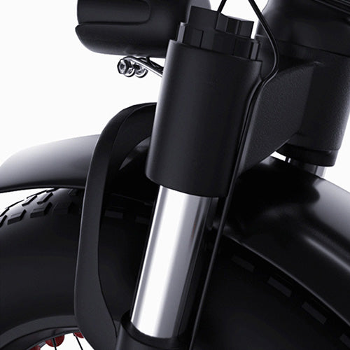 Lesoos FatSky Folding Fat Tire Electric Bike - Lesoos FatSky