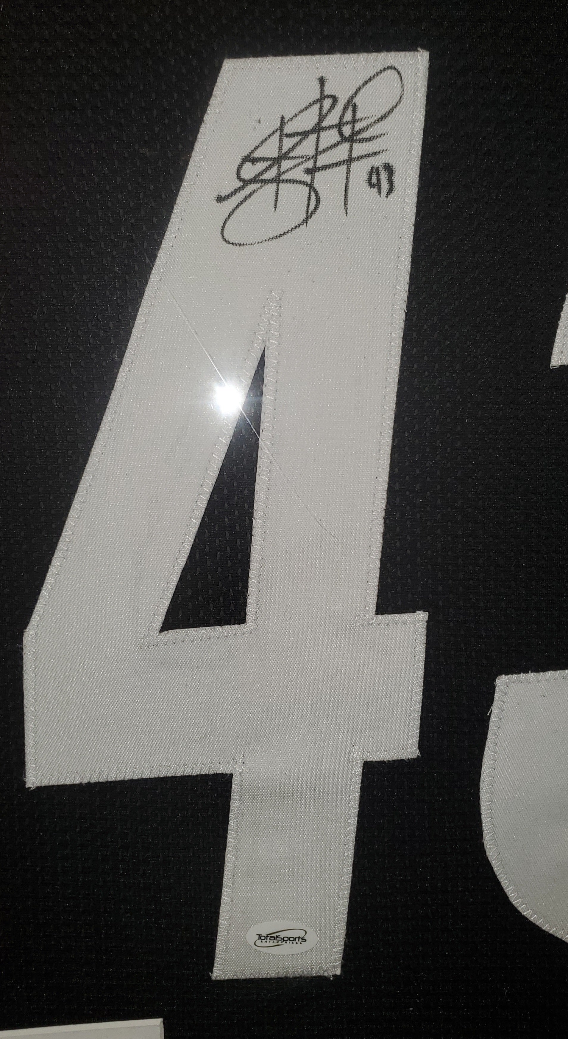 Pittsburgh Steelers Troy Polamalu Framed Autographed Custom Jersey (TSE)