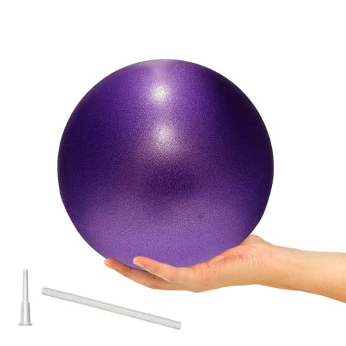 9 Inch Yoga and Pilates Ball Mini Exercise Barre Ball for Yoga