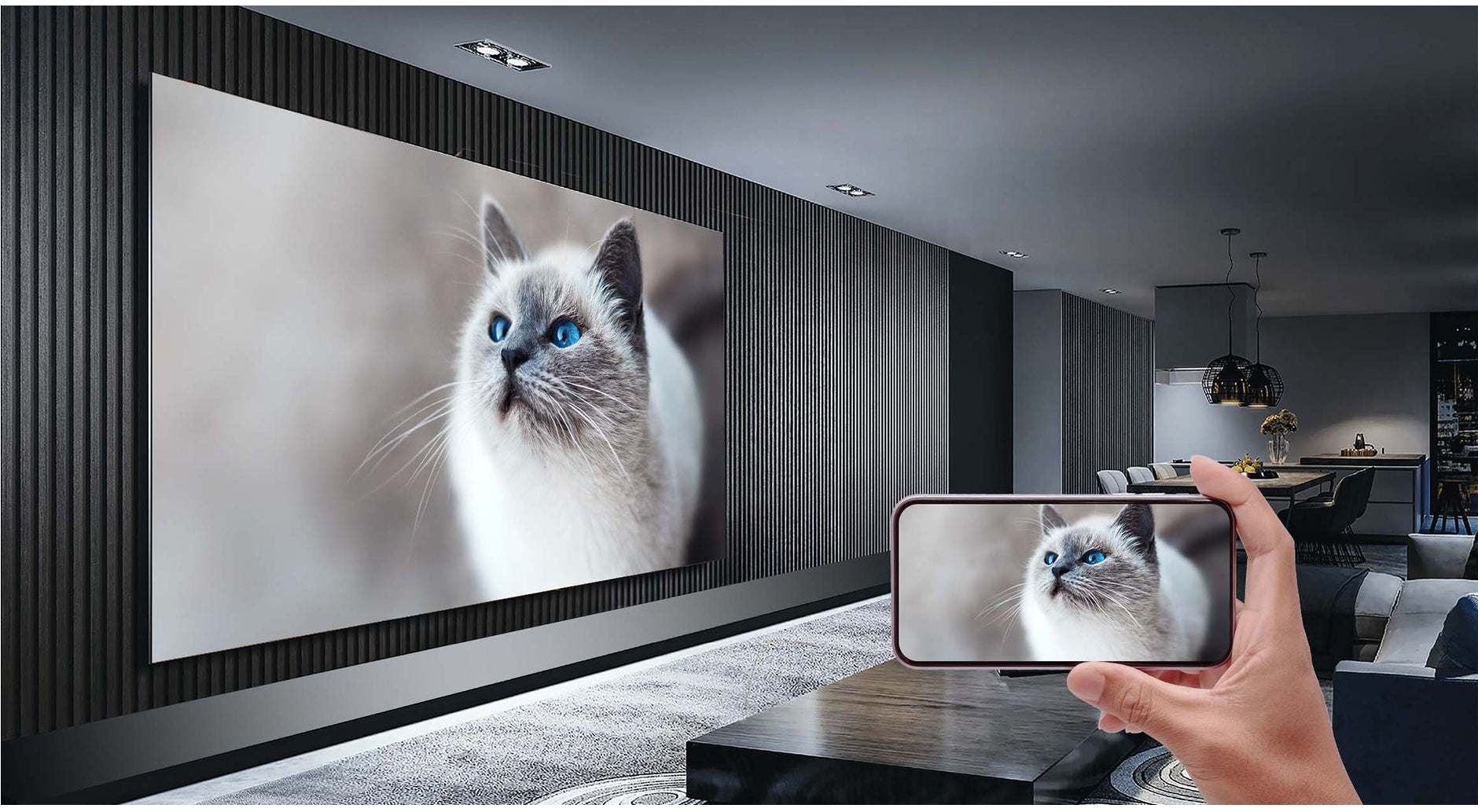 Box R 4K Plus – Homatics