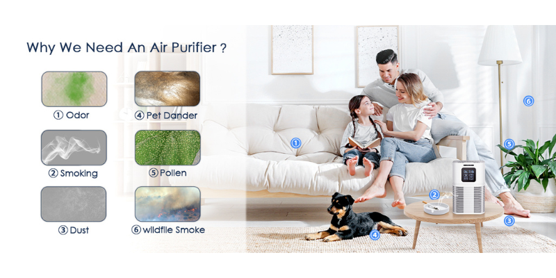 Are Home Air Purifiers Worth Buying