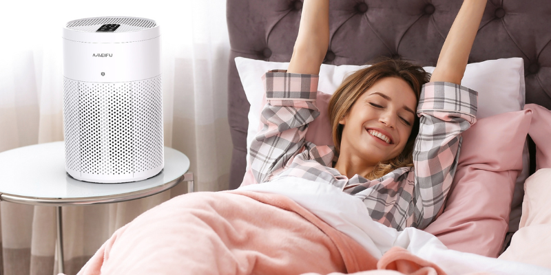 Do Air Purifiers Help with Dust