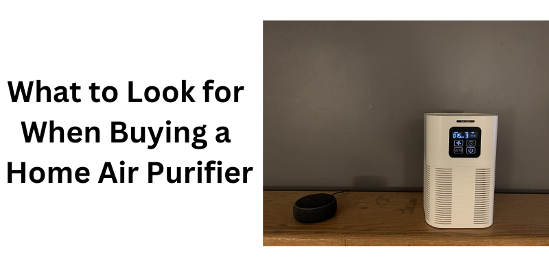 What to Look for When Buying a Home Air Purifier