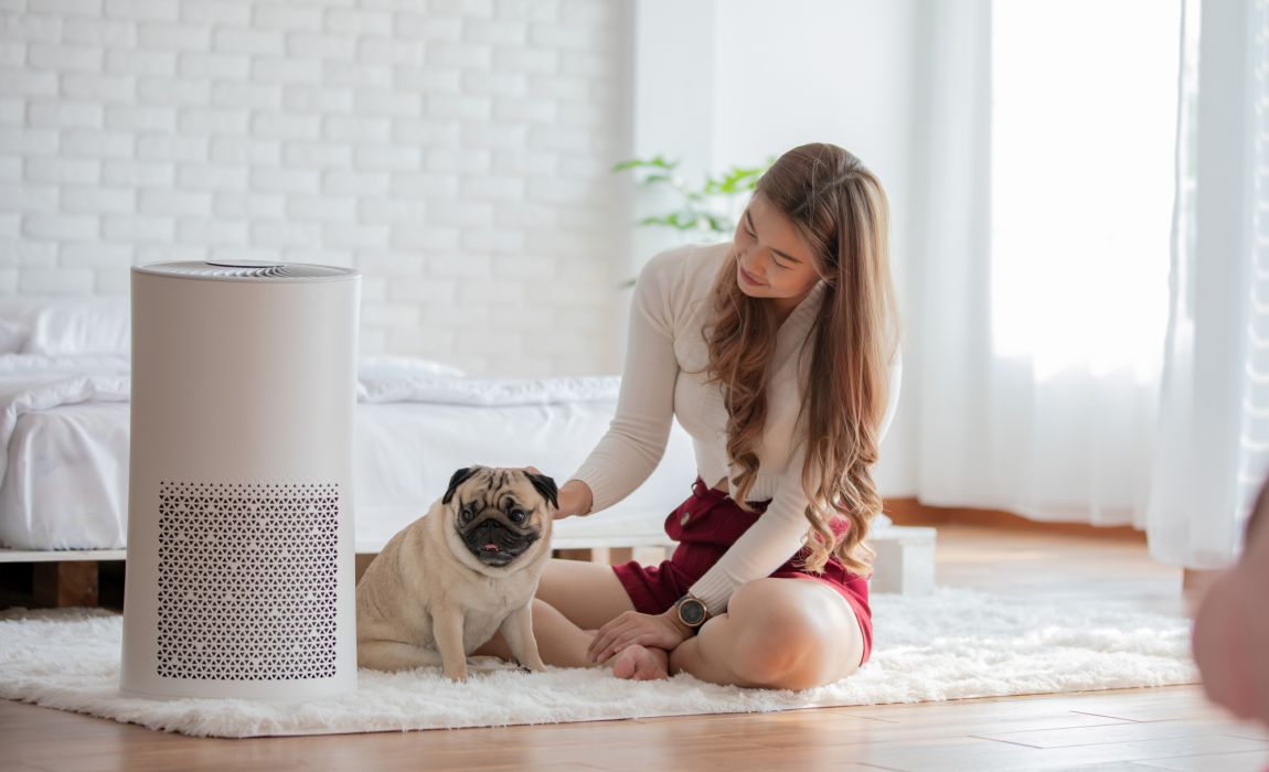 What to Look for in an Air Purifier for Pets