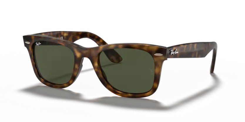 Ray-Ban Evolution Wayfarer Ease