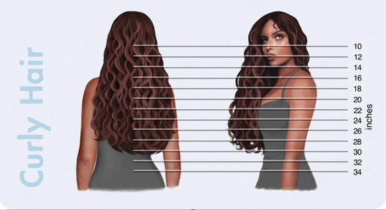 hair length chart curly hair