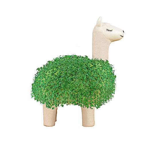 Llama Planter