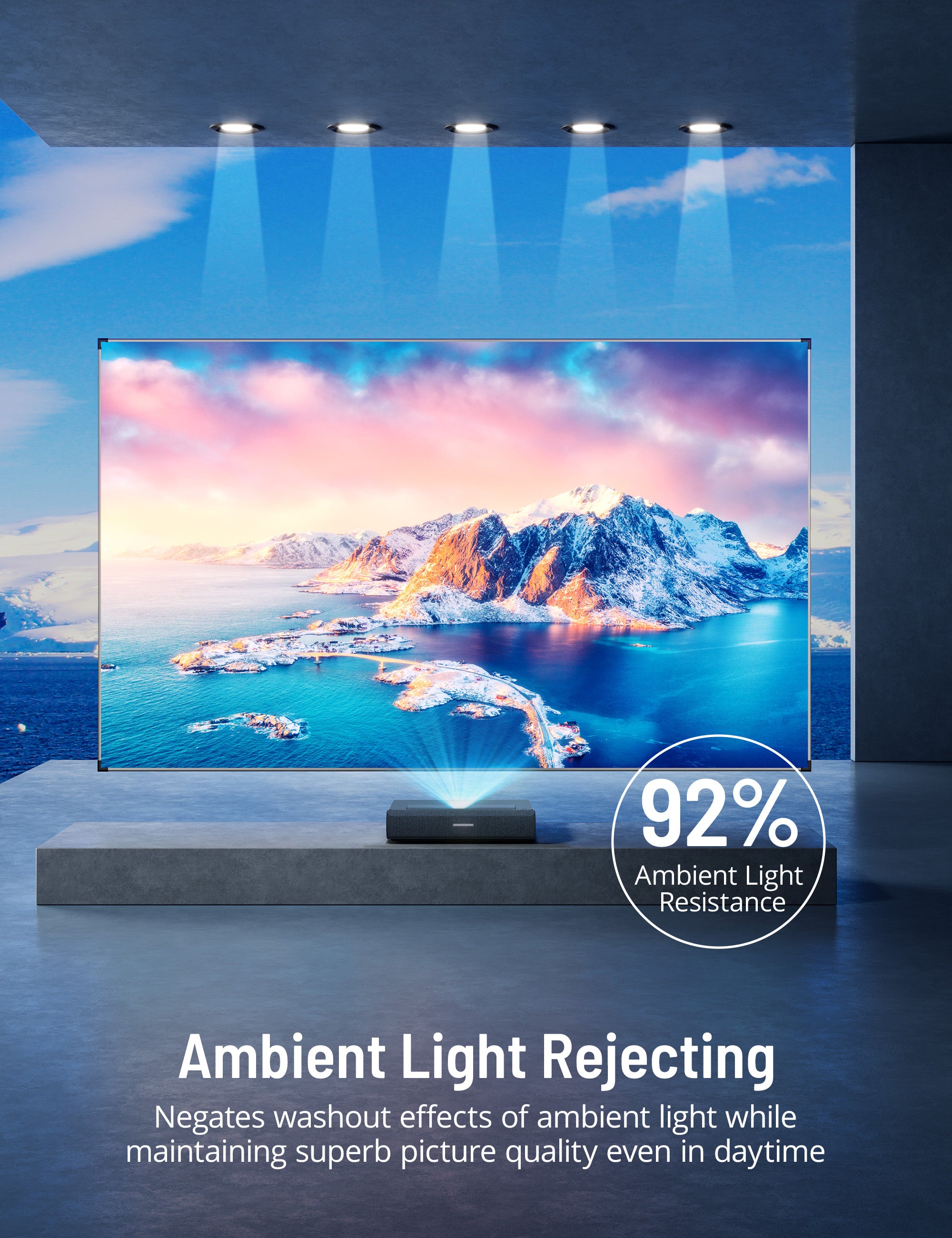 Paris Rh?ne 4K Ultra HD Projector Screen LTS001, Light Rejecting Fixed Screen