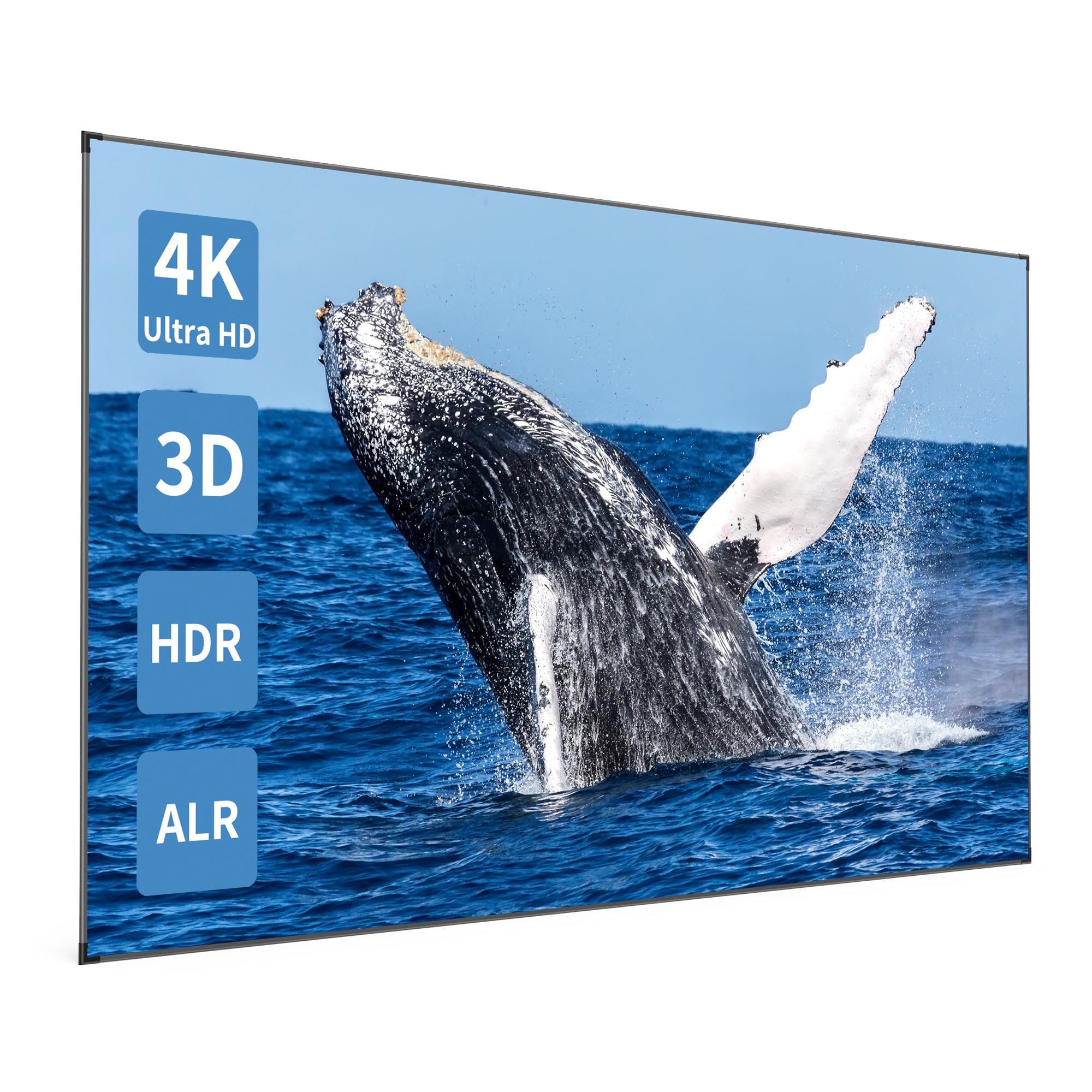 Paris Rh?ne 4K Ultra HD Projector Screen LTS001, Light Rejecting Fixed Screen