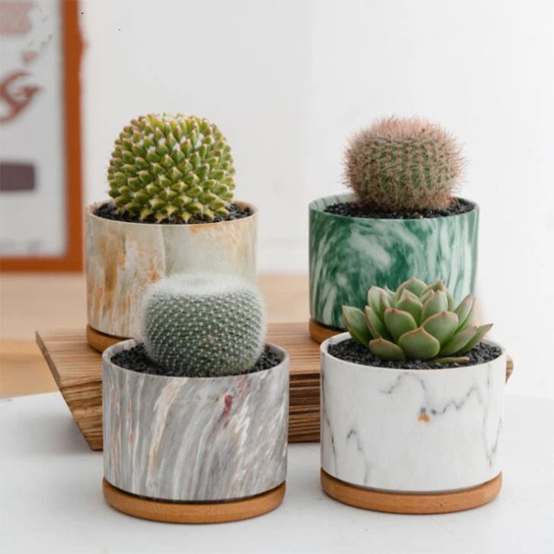 HomeTod? Succulent Marble Pots