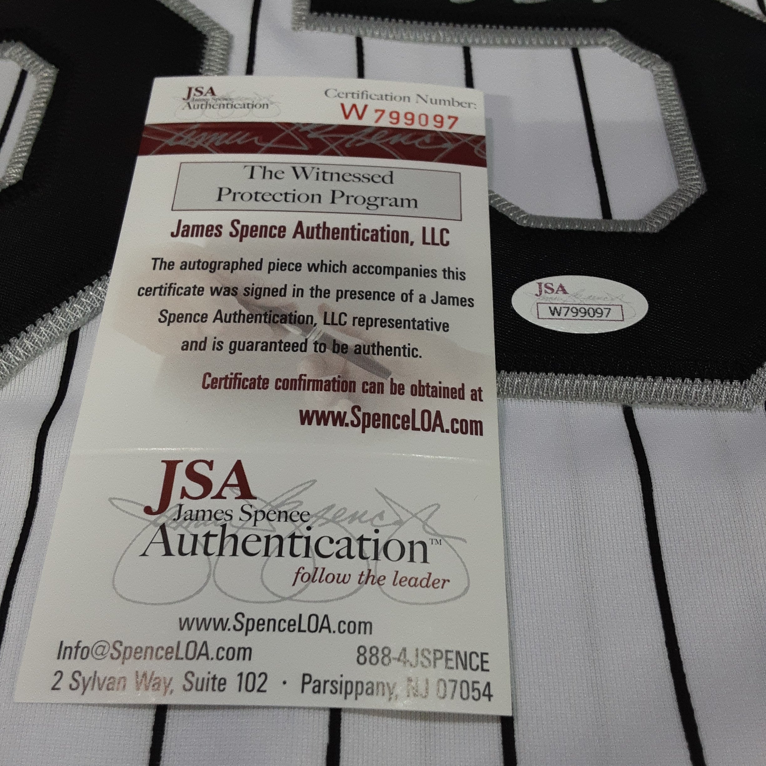 Frank Thomas Authentic Signed Pro Style Jersey Autographed JSA