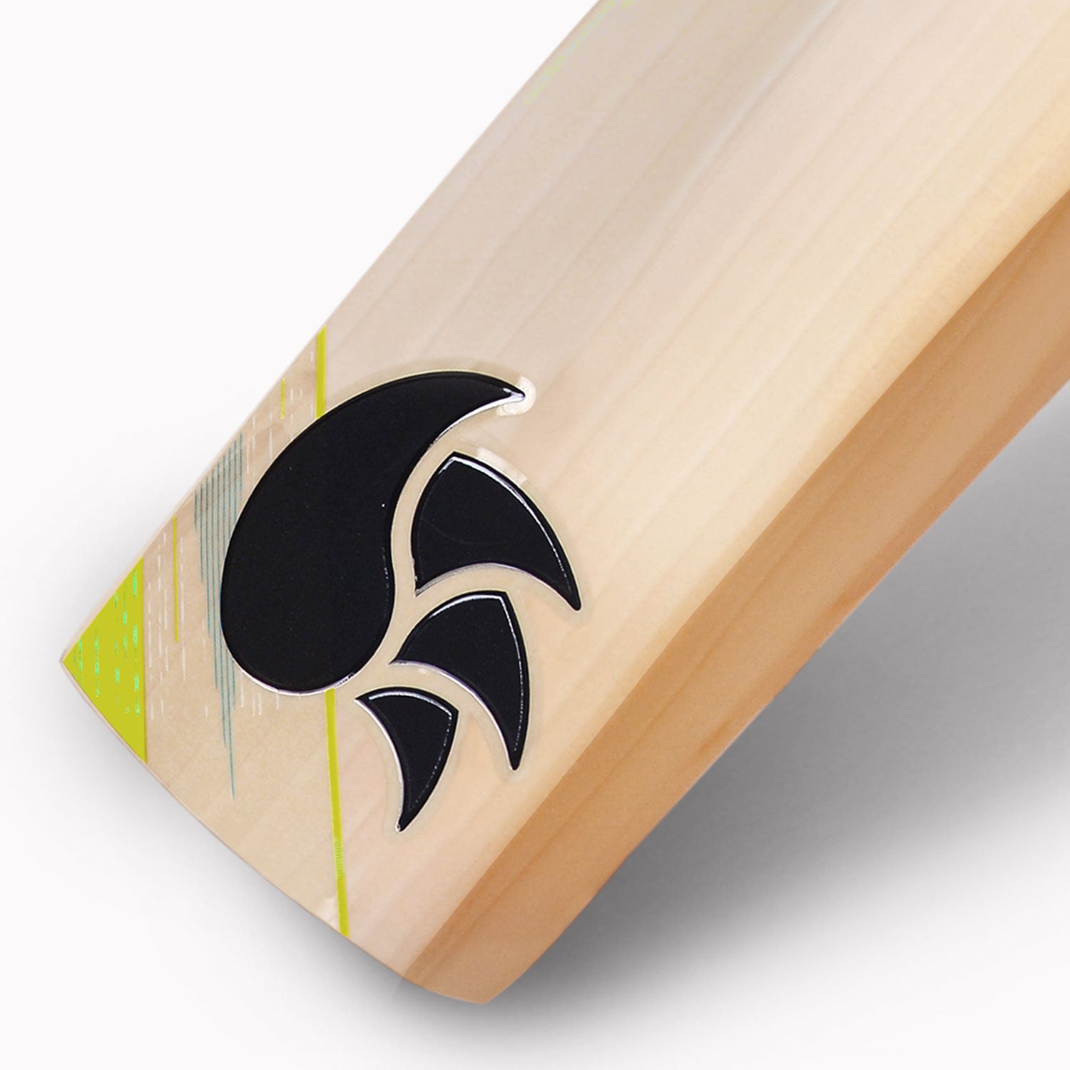 DSC CONDOR MOTION CRICKET BAT - 2023