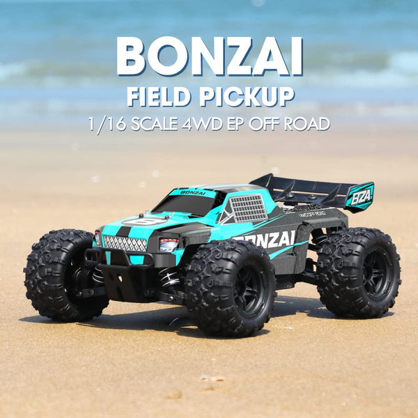 Bonzai RC Monster Truck on a sandy beach