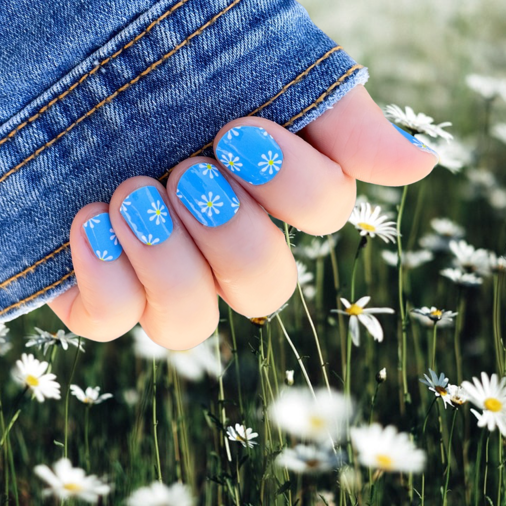  Blue Daisy Nail Wraps 