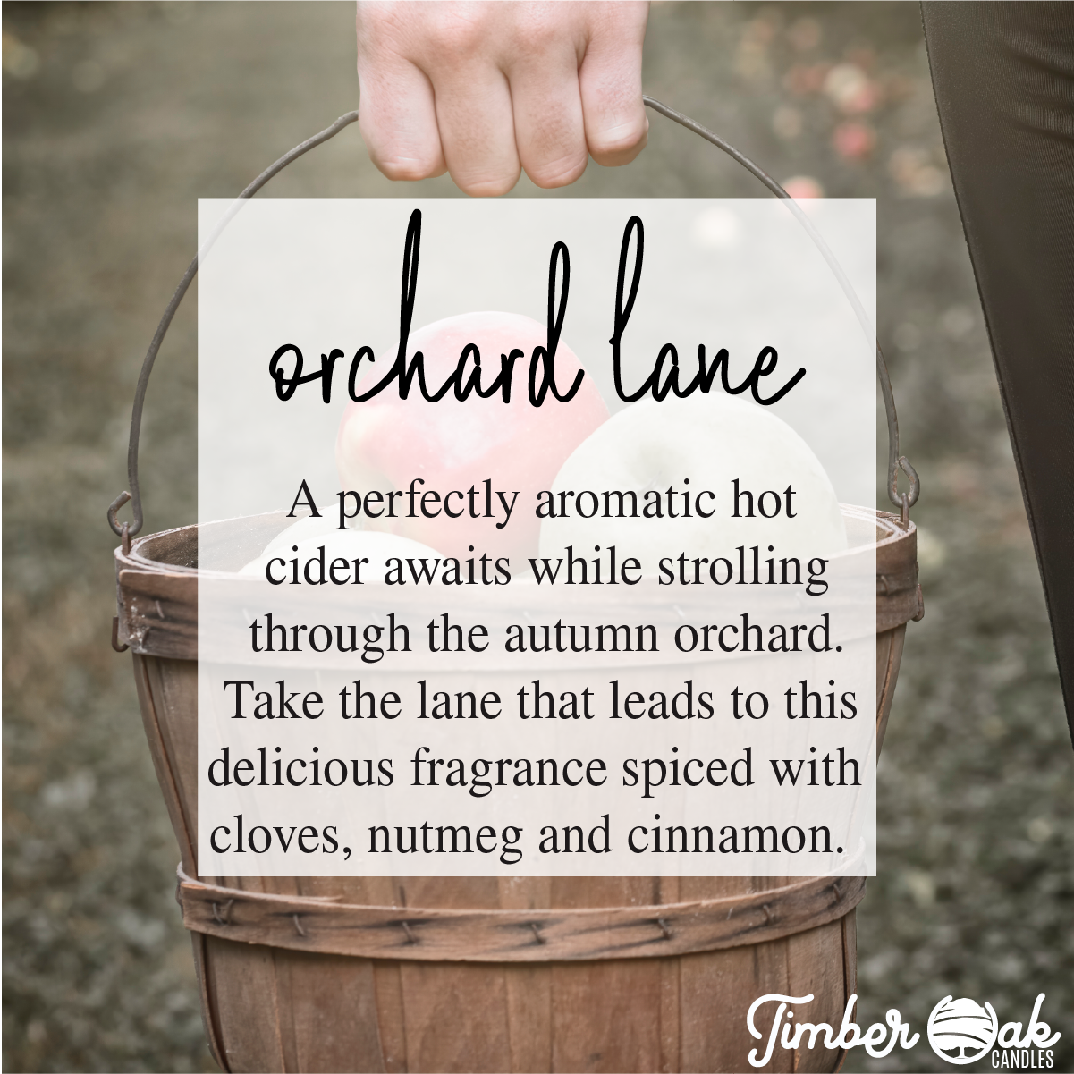  ORCHARD LANE | 4oz Mason Jar 