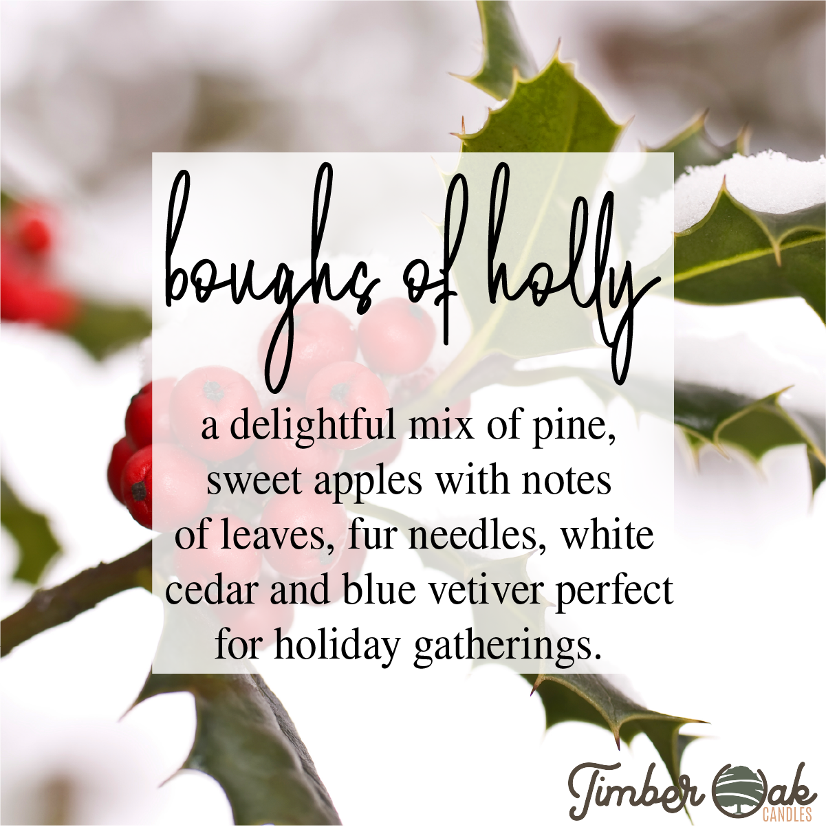  BOUGHS OF HOLLY | 8oz Mason Jar 