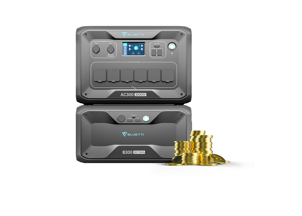 AC300+B300 Batería de Reserva Doméstica