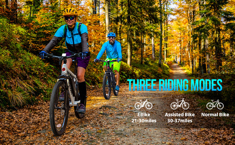 miclon 26 electric bike