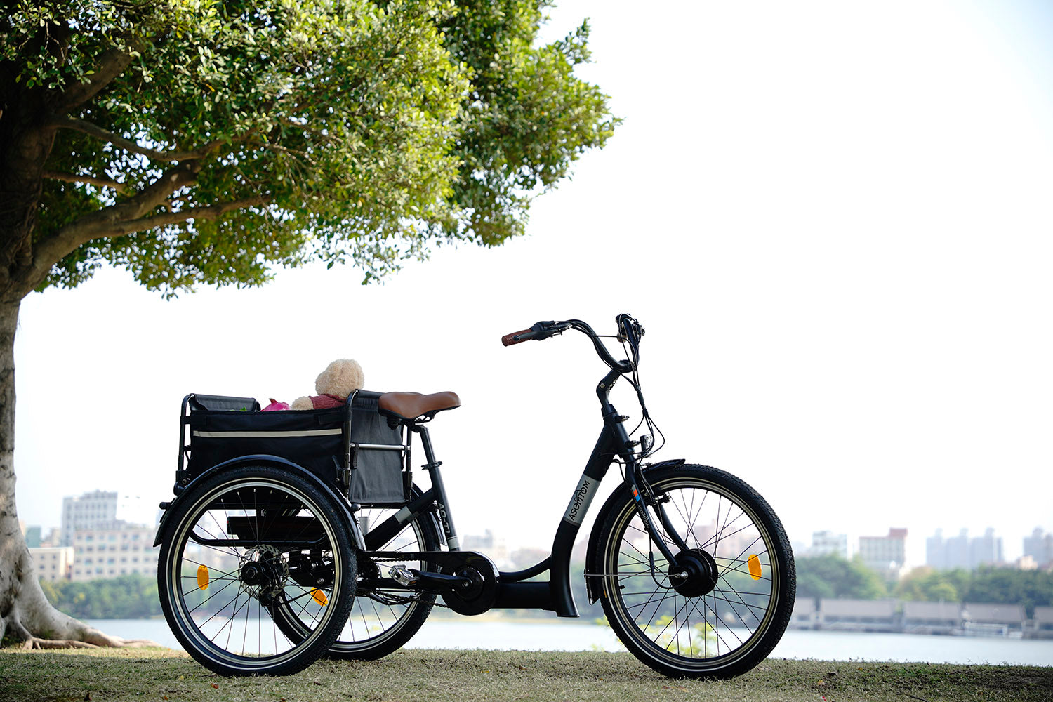 asomtom electric bike