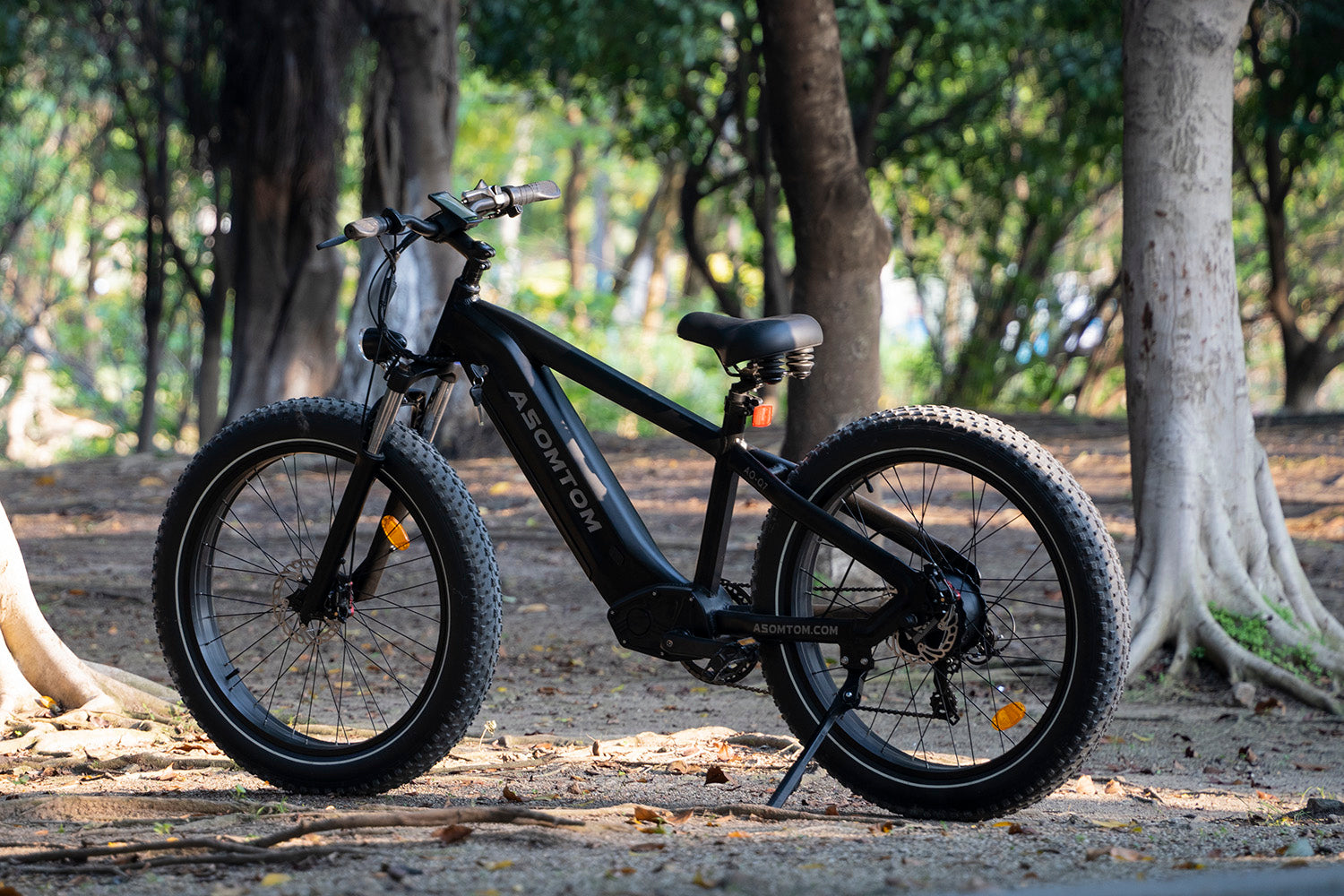 Asomtom Moutain electric bike for adult