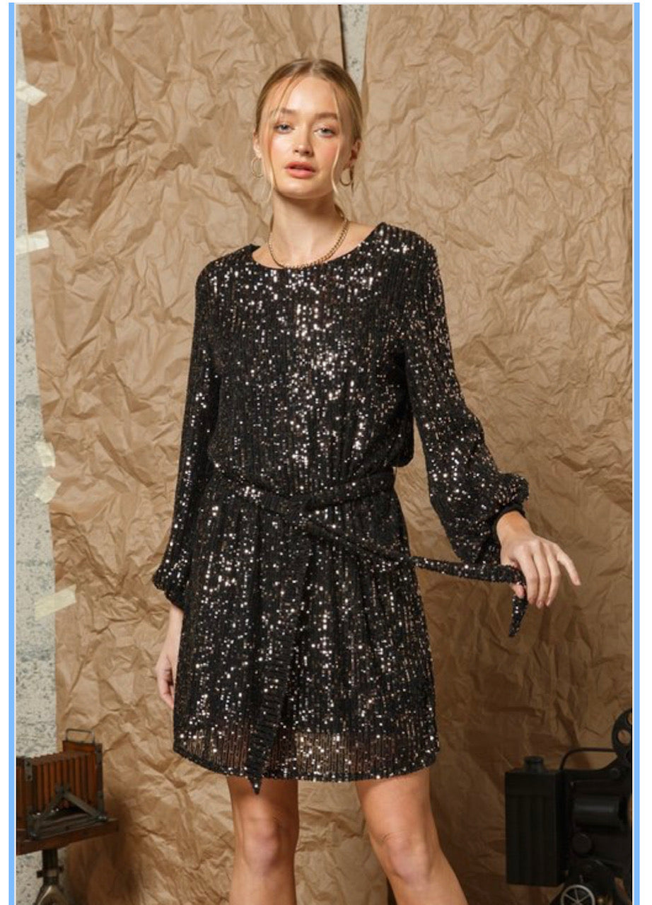 Sequin Long Sleeve Dress