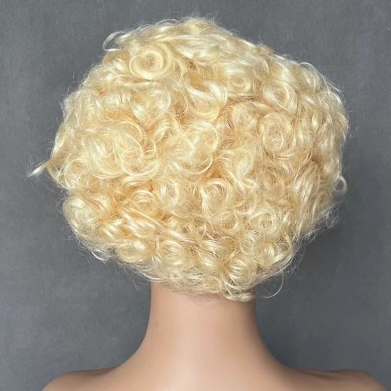 613 Curly Full Lace Human Hair Pixie Wigs