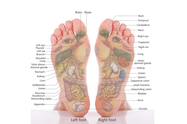 foot acupressure points