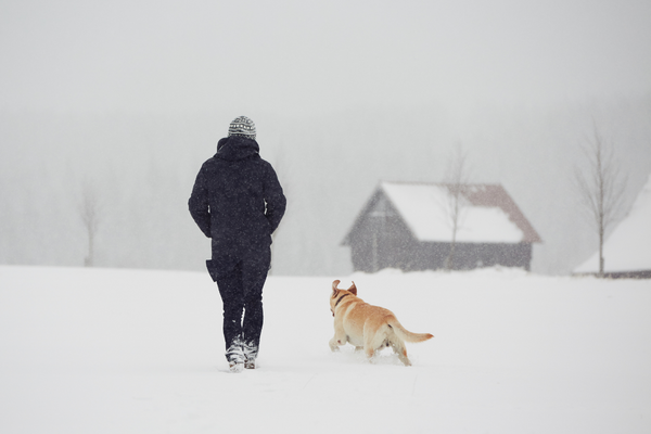 Winter Walk