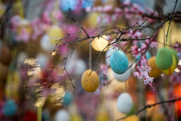 Easter Egg Tree