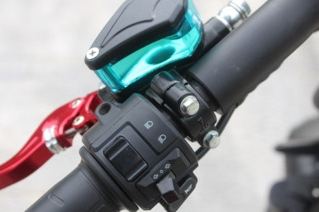 rooder citycoco electric scooter Larsky 2000w