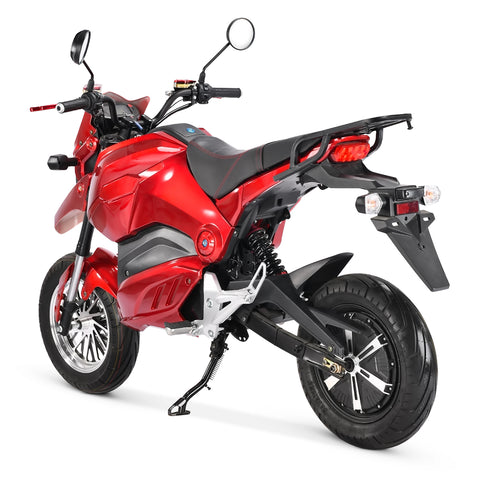 Electric Motorcycle Rooder r804-m21 for sale