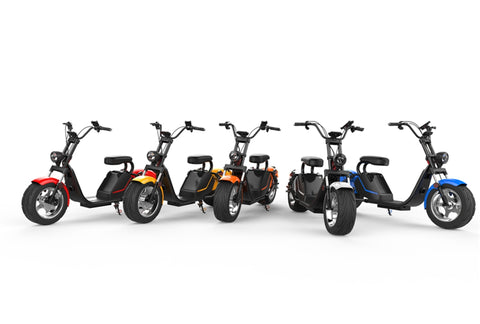 citycoco 3000w electric scooter Rooder r804i EEC COC