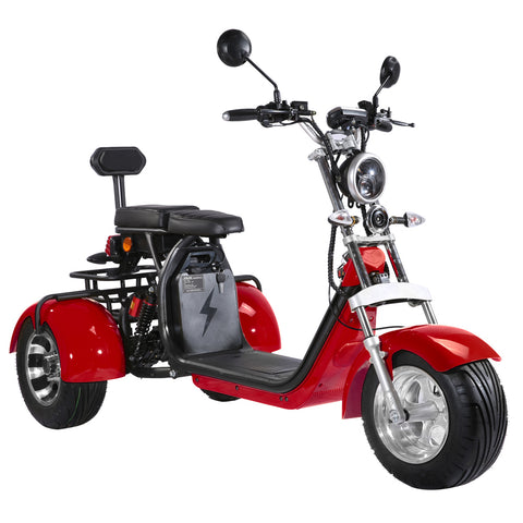 citycoco 3 wheel electric scooter Rooder r804t8 US stock