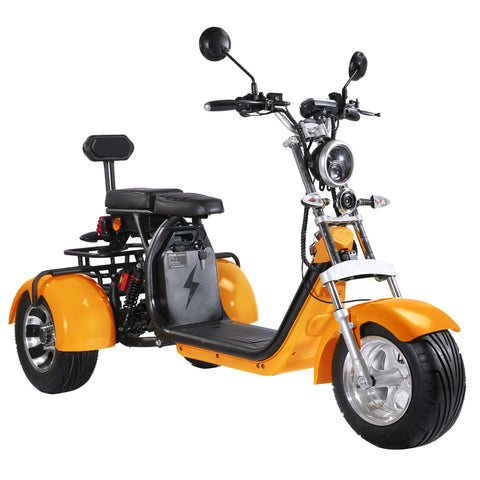 citycoco 3 wheel electric scooter Rooder r804t8 US stock